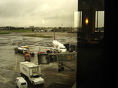 photo "through the glass"