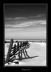 photo "T. Graphics # 10"