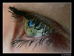 фото "the sky in her eyes"