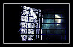 фото "Moonlight"