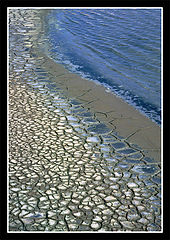 photo "Salt sea"
