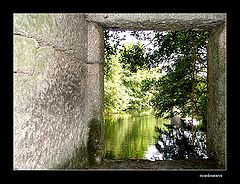 photo "window to the river"