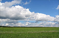 photo "Valley of clouds"
