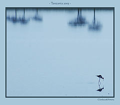 фото "Serengeti lake"