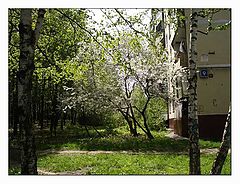 photo "Moscow, Northern Butovo. The spring."