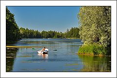 photo "In a summer park"