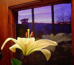photo "waiting for the sunrise..."