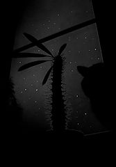 photo "five hours till dawn"