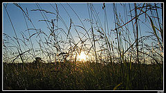 фото "Country Sunset"