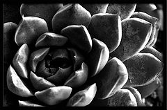 фото "Untitled"