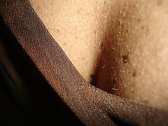 фото "decote"