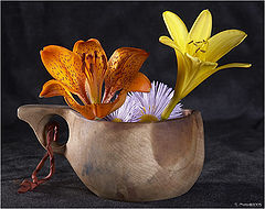 фото "Flowerpower"