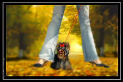photo "ZOSYA"