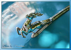 photo "Pobeda"