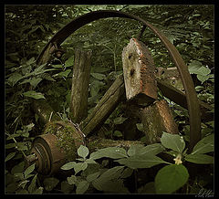 photo "***"