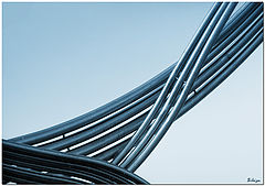 photo "Lines of a life"