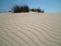 photo "Barchan"