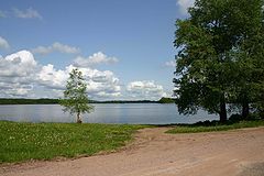 photo "Landscape 1"