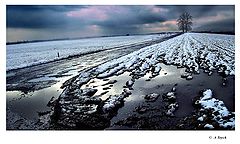 фото "Snowy land"