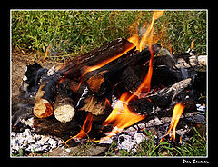 photo "Flame"