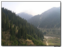 photo "Almaty (2005) - Alatau"