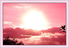 photo "Pink clouds"