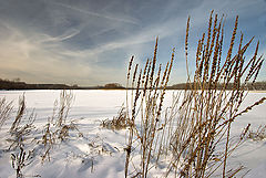 photo "Riverbank"