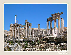 фото "The Postcard. Tunisia."