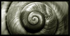 фото "Spiral"