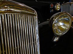 photo "Black shine"