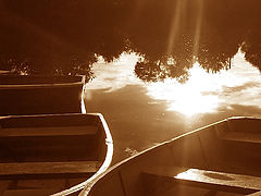 photo "The Boats"