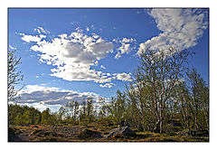 photo "***"