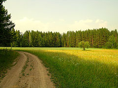 photo "h e a t"