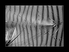 фото "The Crossroad"