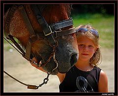 photo "big friends"