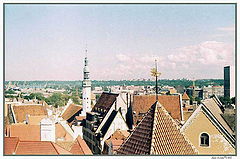 фото "Крыши Таллинна."