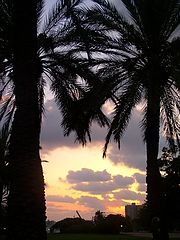 фото "Sunset"
