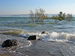 photo "The sea widely was stretched"