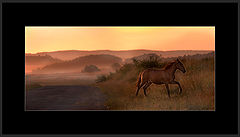 фотоальбом "Nature"