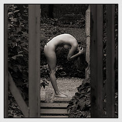 фото "The observer"