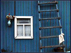 фото "...на чердак?...."
