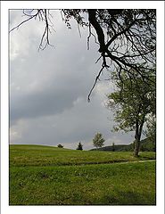 photo "Summer Time"