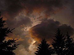 photo "Trouble Brewing"