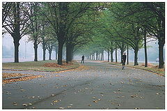 photo "untitled"