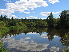 photo "Serenity"