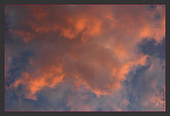 фото "Dragon Flight"