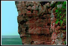 фото "Old Man on the Rocks"