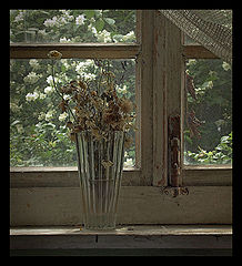 photo "Wood bouquet. Part II. Tristemente."