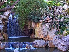 фото "Waterfall"