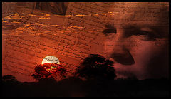 фото "Wild Africa"